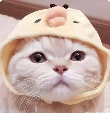 自考大专要花多少钱，自考本科到拿证大概要花多少钱