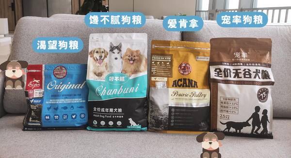 养萨摩耶犬一个月要花多少钱，养一只萨摩耶一个月要花多少钱