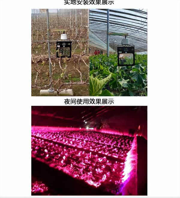 一个蔬菜大棚的面积，新型大棚从设计到建成仅需30天，零下35℃蔬菜照样生长，年入8万