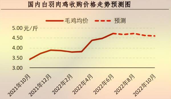 8月肉毛鸡行情预测，「行情」7月肉鸡市场行情分析及8月预测
