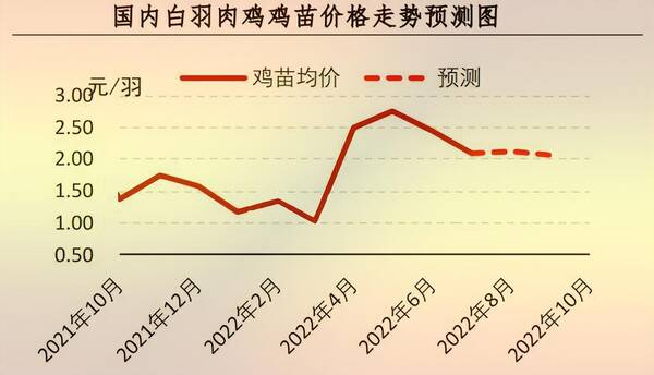 8月肉毛鸡行情预测，「行情」7月肉鸡市场行情分析及8月预测