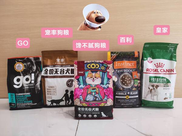 狗头金比金子贵吗？这几种狗，比“金子”还贵，打工人不建议碰