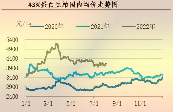 8月肉毛鸡行情预测，「行情」7月肉鸡市场行情分析及8月预测