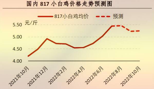 8月肉毛鸡行情预测，「行情」7月肉鸡市场行情分析及8月预测