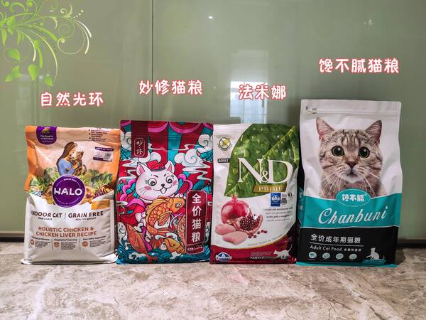 简州猫颜值很高，忽悠我养“简州猫”的人，你们把我给害苦了