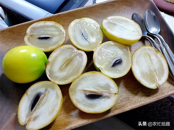 今年果农又惨了，一个能卖12元，种下一年就挂果，很多果农投入，却有人看衰