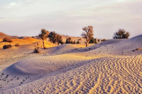 沙子匮乏新常态正成为沙资源不可持续的新代名词的理由，什么！沙子面临短缺危机？央视：未来沙子或成重要战略资源？