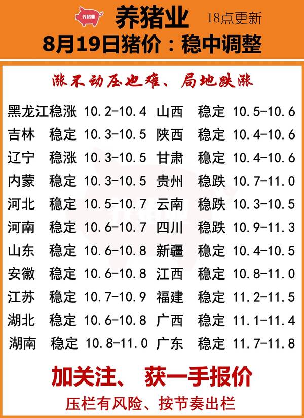 8月21号猪价行情：全国多地出现下跌，8月19日全国最新生猪报价：稳中伴跌，屠宰场开始压价