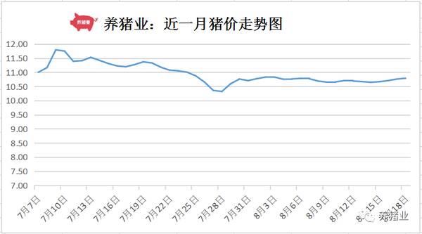 8月21号猪价行情：全国多地出现下跌，8月19日全国最新生猪报价：稳中伴跌，屠宰场开始压价