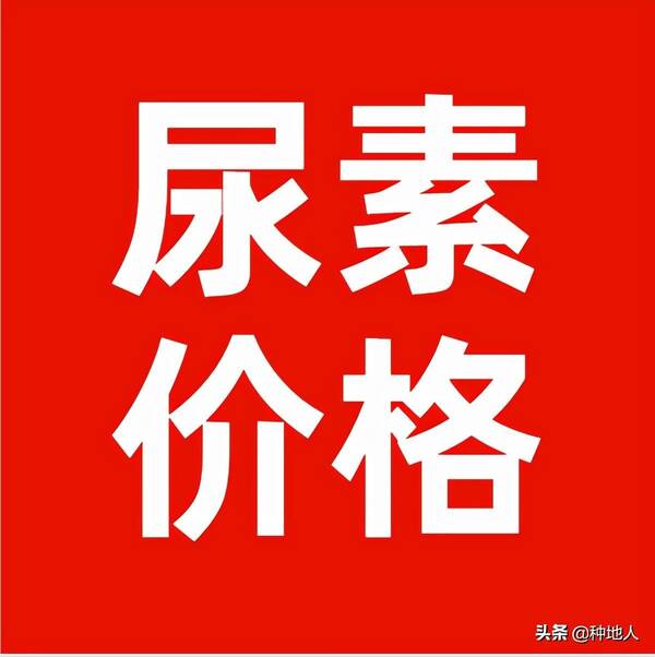 尿素价格会跌吗？跌破3000元/吨，尿素价格还要跌，到底咋回事？