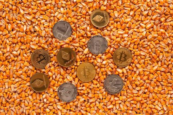 2022年玉米豆粕价格走势，2022年8月21日玉米豆粕价格