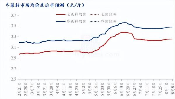 今天的菜籽行情如何？Mysteel解读：菜籽价格上涨，行情是否就此回暖？