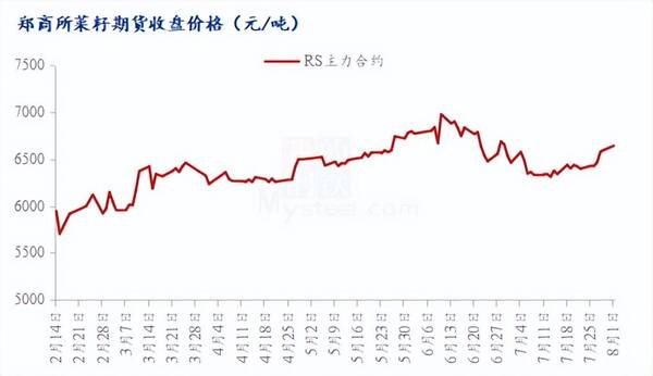 今天的菜籽行情如何？Mysteel解读：菜籽价格上涨，行情是否就此回暖？