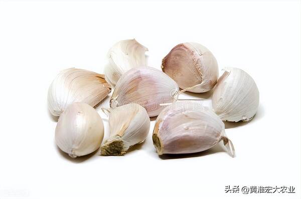大蒜期货价格走势图k线，今日大蒜期货价格走势图k线