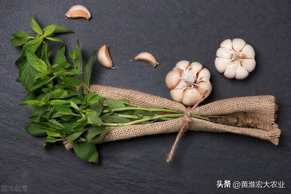 大蒜期货价格走势图k线，今日大蒜期货价格走势图k线