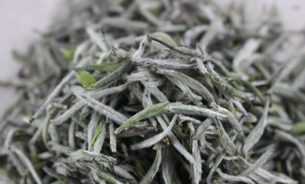 福鼎白茶多少钱一斤2022，白茶一斤多少钱？网友直呼买不起了