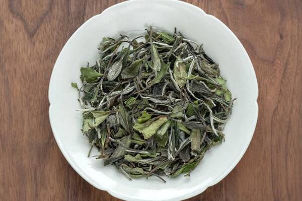 福鼎白茶多少钱一斤2022，白茶一斤多少钱？网友直呼买不起了