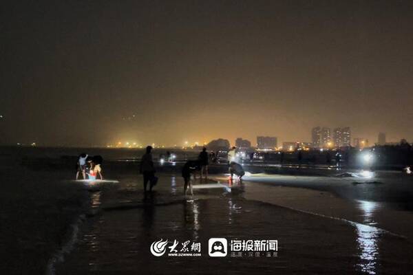 三月份赶海有什么海鲜？趁着夜色赶海去！还有最新的海鲜价格......