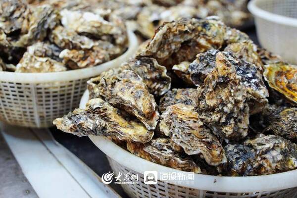 三月份赶海有什么海鲜？趁着夜色赶海去！还有最新的海鲜价格......