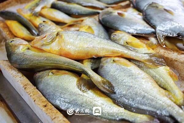 三月份赶海有什么海鲜？趁着夜色赶海去！还有最新的海鲜价格......