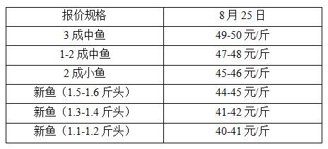 现在鳜鱼行情，烂市！鳜鱼涨到53元/斤后猛跌3元/斤！新鱼价格下跌今日成交减少