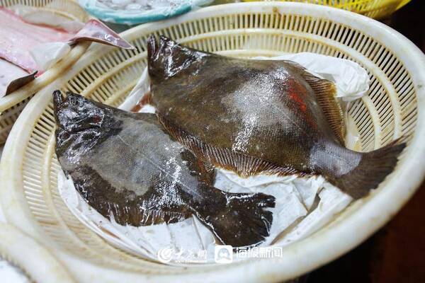 三月份赶海有什么海鲜？趁着夜色赶海去！还有最新的海鲜价格......