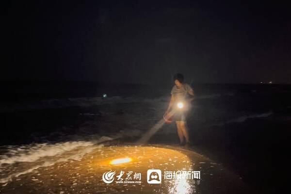 三月份赶海有什么海鲜？趁着夜色赶海去！还有最新的海鲜价格......