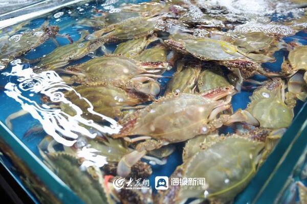三月份赶海有什么海鲜？趁着夜色赶海去！还有最新的海鲜价格......