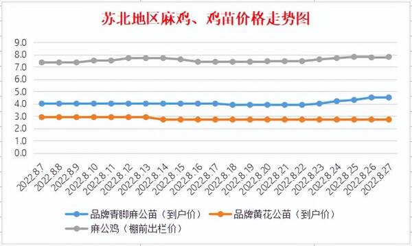 最新麻鸡价格行情走势预测，今日麻鸡苗价格行情