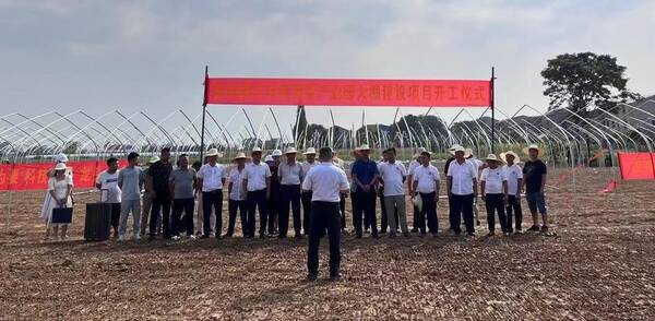 千亩蔬菜大棚基地总投资，杨林寨乡投入2000余万元建设1293个蔬菜大棚