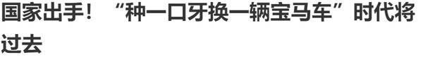种植牙降价，我就等着种植牙降价了英文