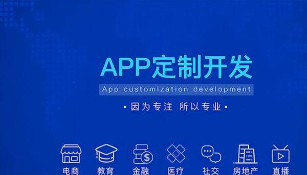 做一个app，做一个瓜子网app多少钱