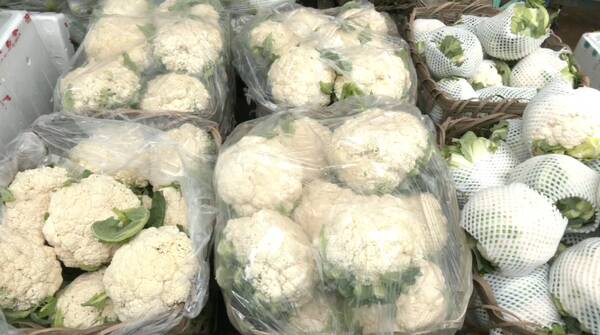 河北蔬菜价格表今日蔬菜，4月份蔬菜价格下降的原因