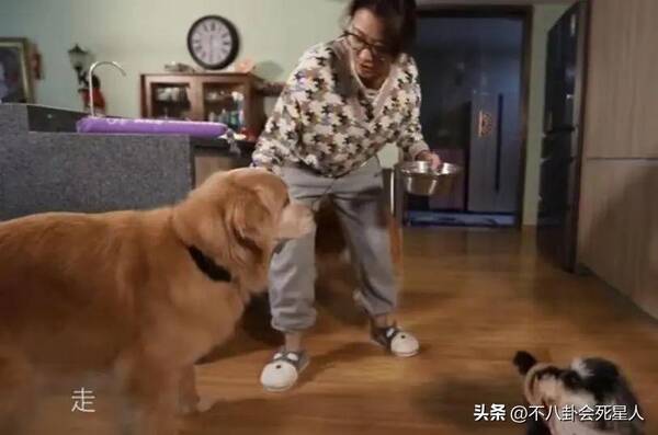 57岁港星独居上亿豪宅，9位富豪港星来内地买房，坐拥10亿四合院，在一线城市买6套房