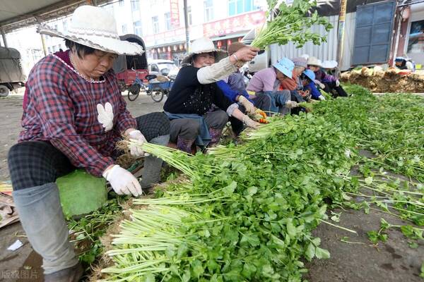 买西瓜差8元差6元，茄子4毛，西瓜5毛，甜瓜1块，市场卖的比买的多，农民难啊