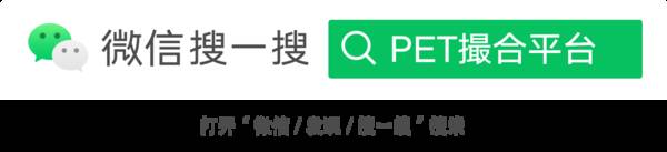 pet市场行情走势，今日pet市场行情