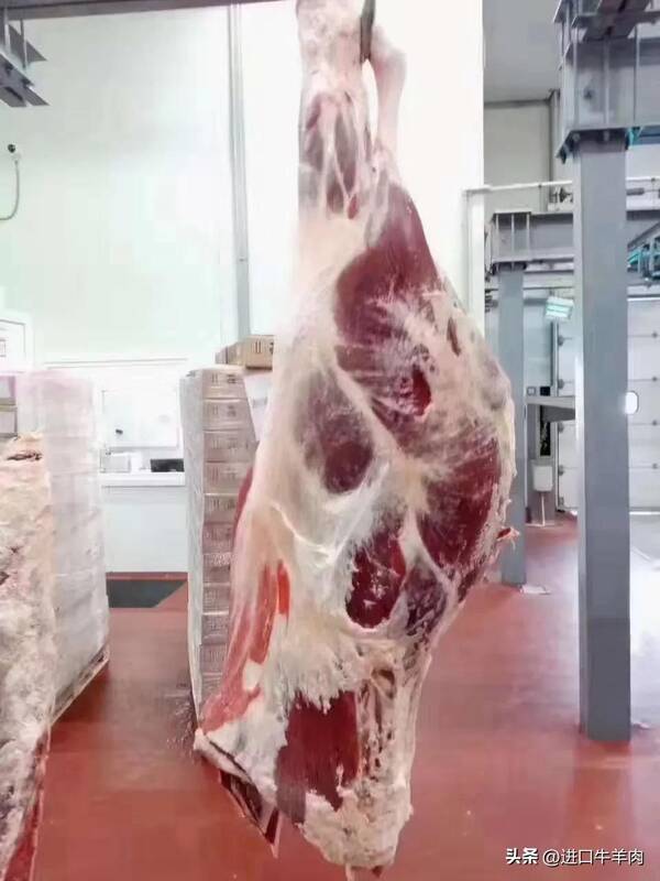 上海进口牛肉批发市场，河南省进口牛羊肉批发市场参考报价网