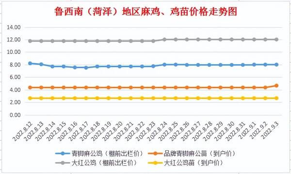 菏泽哪里有卖鸡苗的？9月3日鲁西南（菏泽）麻鸡、鸡苗价格行情