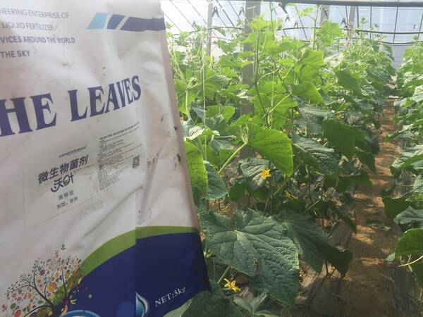 中国较好的微生物菌剂，微生物菌剂的价格是多少