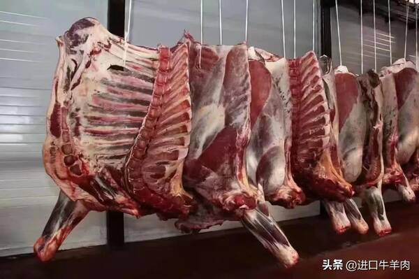 郑州进口牛肉批发商，郑州万邦每日进口牛肉参考报价表