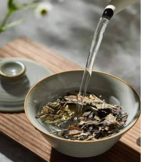 上万一斤的白茶,真的值这个价格吗为什么？上万一斤的白茶，真的值这个价格吗？