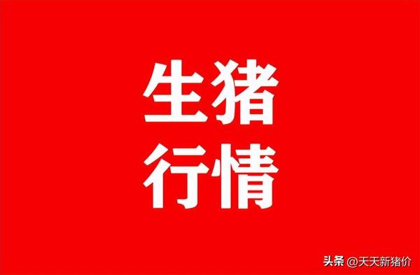 猪价还会上涨吗？明天全国猪价上涨2022.5.1