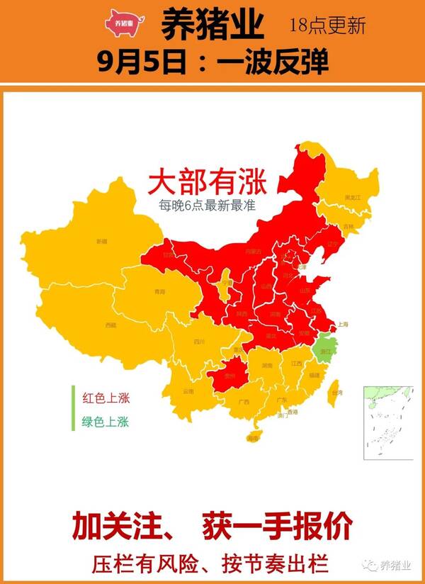 今日全国生猪期货价格，9月3日全国生猪价格涨跌表