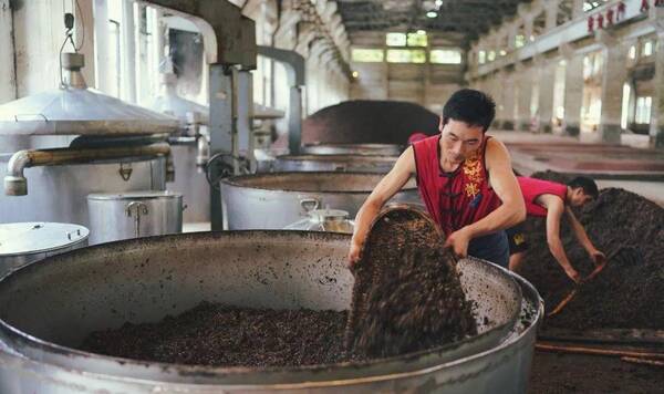 25年赖茅多少钱一瓶，97公斤赖茅多少钱一瓶