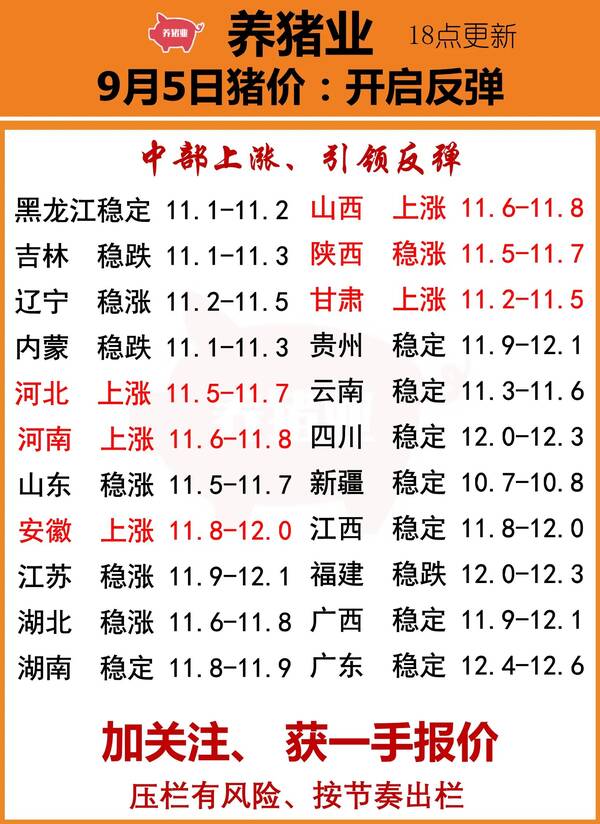 今日全国生猪期货价格，9月3日全国生猪价格涨跌表