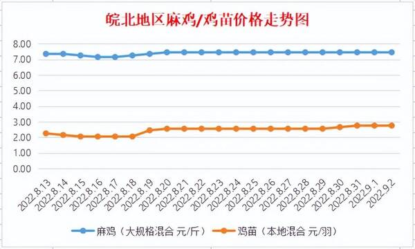 今日聊城817麻鸡最新价格，皖南地区817麻鸡今日行情