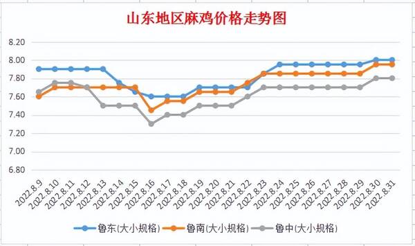 山东麻鸡价格最新行情报价，今日山东青脚麻鸡成鸡价格