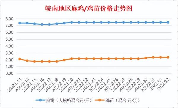 今日聊城817麻鸡最新价格，皖南地区817麻鸡今日行情