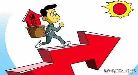 2022年下半年猪价能否上涨，2022年9月26日全国生猪价格