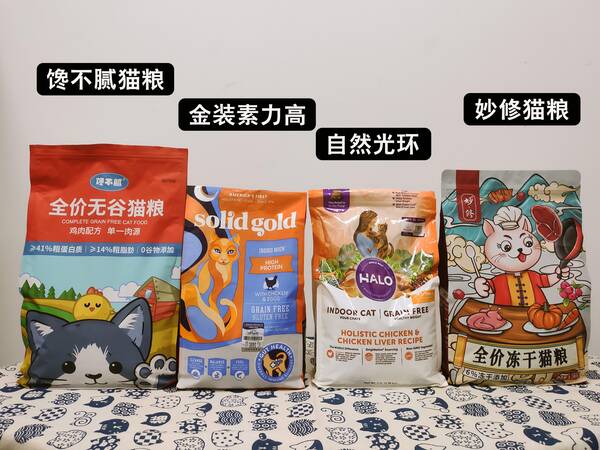 警惕性强的猫，公认3大“无攻击性猫咪”，温顺友善，家里有小孩放心养